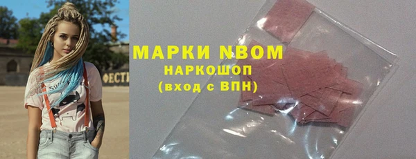 тгк Каменка