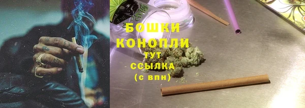 гидропоника Каменногорск