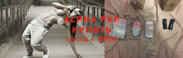 тгк Каменка