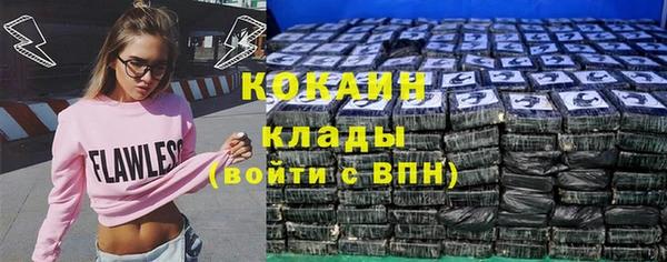 тгк Каменка