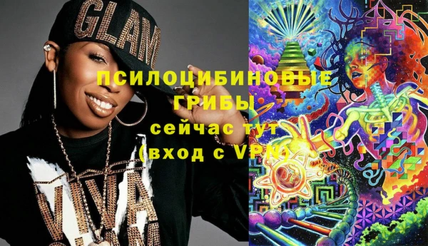 тгк Каменка