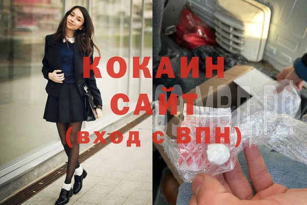 тгк Каменка