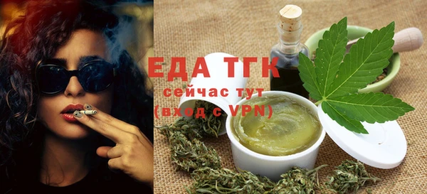 тгк Каменка