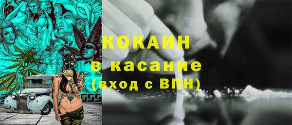 тгк Каменка