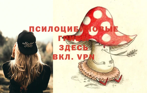 гидропоника Каменногорск
