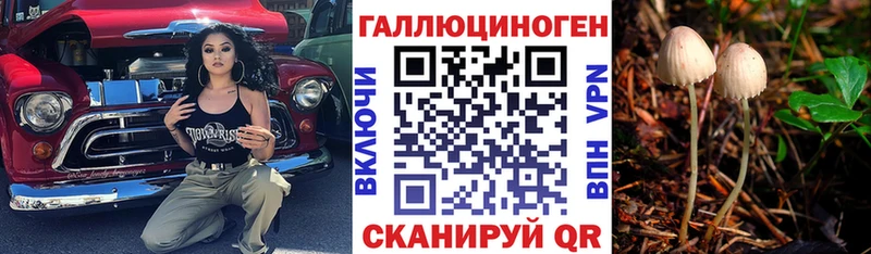 Псилоцибиновые грибы Magic Shrooms  Купить закладки  Заполярный 